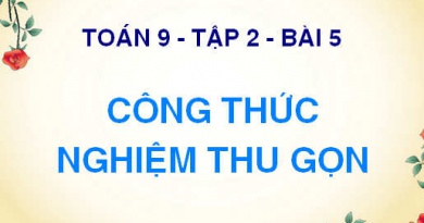 Công thức nghiệm thu gọn của phương trình bậc 2 (b' với delta phẩy) - Toán 9 tập 2 bài 5